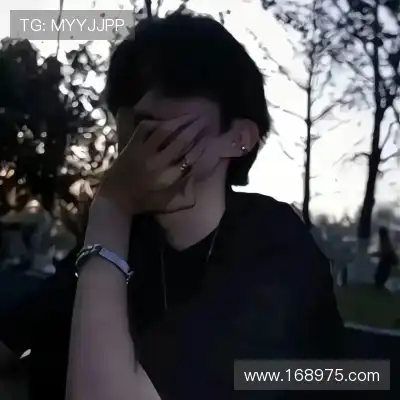 杨蕾凤